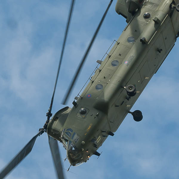 chinook.jpg